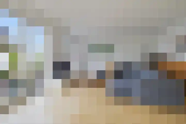 Moleplaat 7 Leeuwarden thumbnail 24