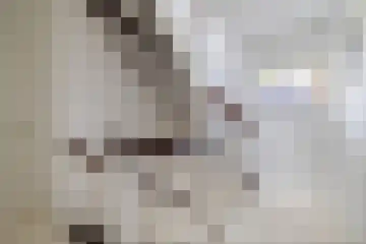 Moleplaat 7 Leeuwarden thumbnail 26