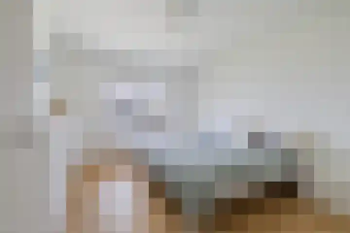 Moleplaat 7 Leeuwarden thumbnail 31