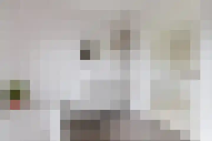 Moleplaat 7 Leeuwarden thumbnail 34