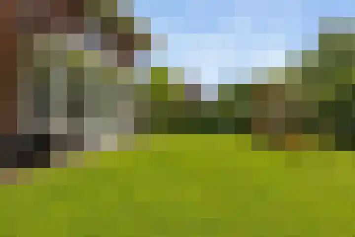 Moleplaat 7 Leeuwarden thumbnail 40