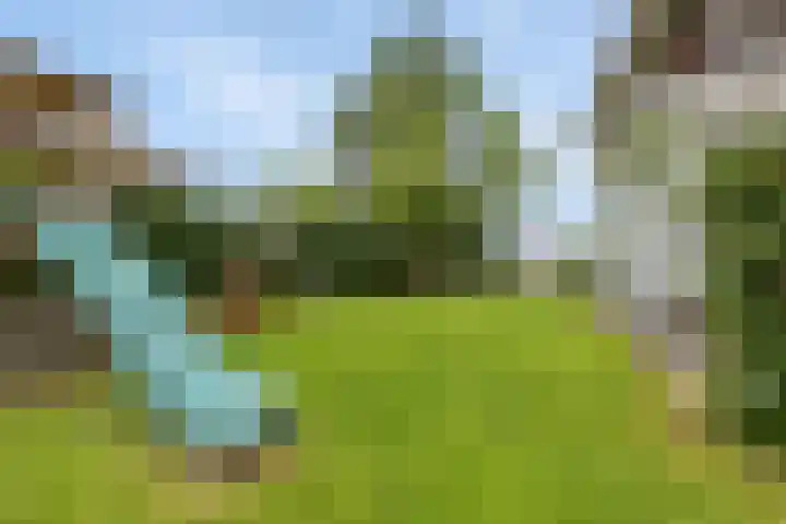 Moleplaat 7 Leeuwarden thumbnail 41