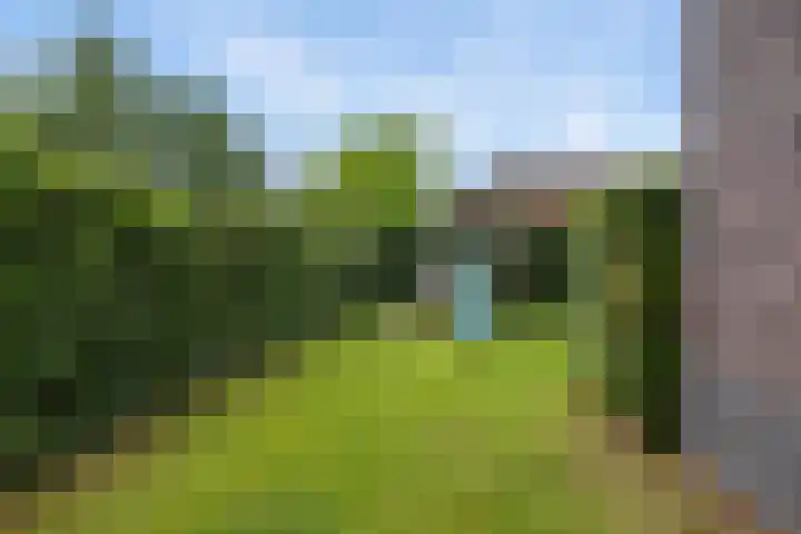 Moleplaat 7 Leeuwarden thumbnail 42