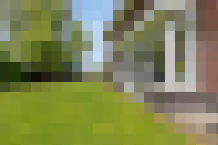 Moleplaat 7 Leeuwarden thumbnail 43