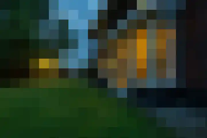 Moleplaat 7 Leeuwarden thumbnail 44