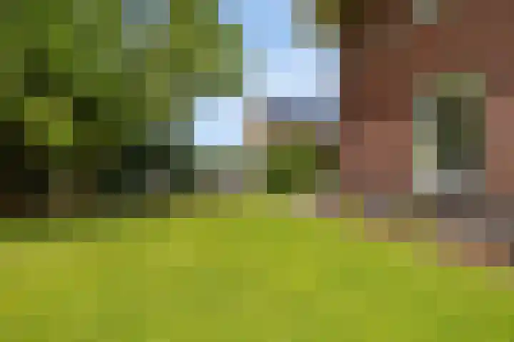 Moleplaat 7 Leeuwarden thumbnail 45