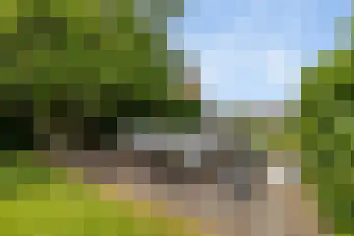 Moleplaat 7 Leeuwarden thumbnail 46