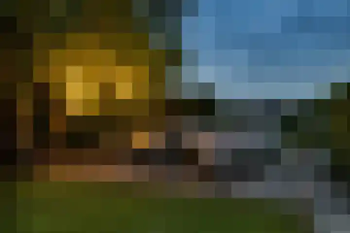 Moleplaat 7 Leeuwarden thumbnail 47