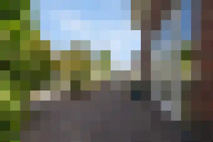 Moleplaat 7 Leeuwarden thumbnail 49