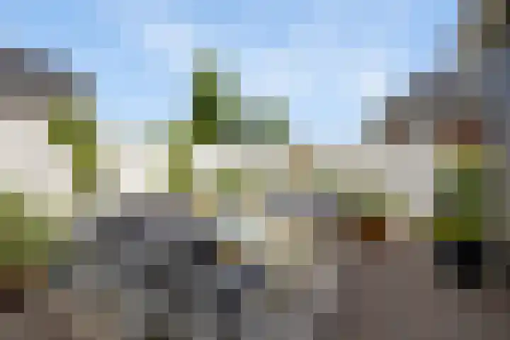Moleplaat 7 Leeuwarden thumbnail 50