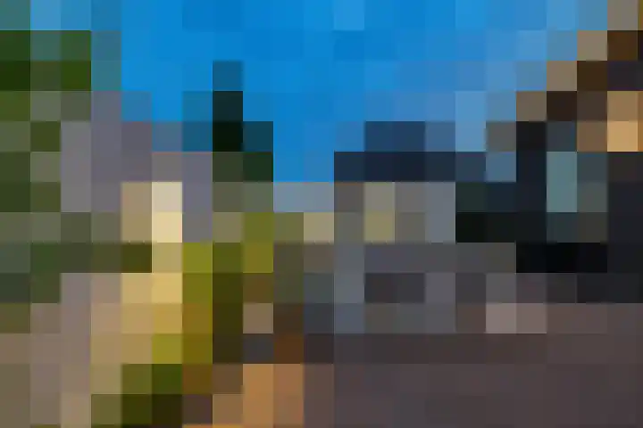 Moleplaat 7 Leeuwarden thumbnail 54