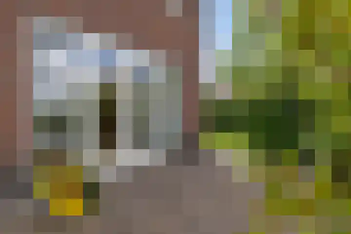 Moleplaat 7 Leeuwarden thumbnail 55