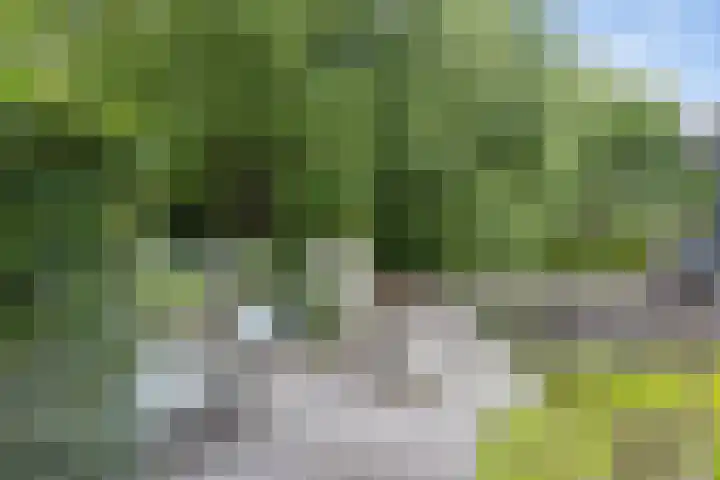 Moleplaat 7 Leeuwarden thumbnail 56