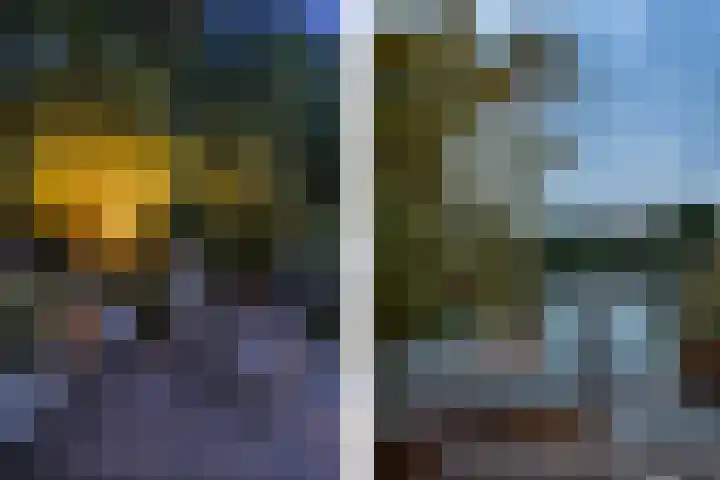 Moleplaat 7 Leeuwarden thumbnail 57
