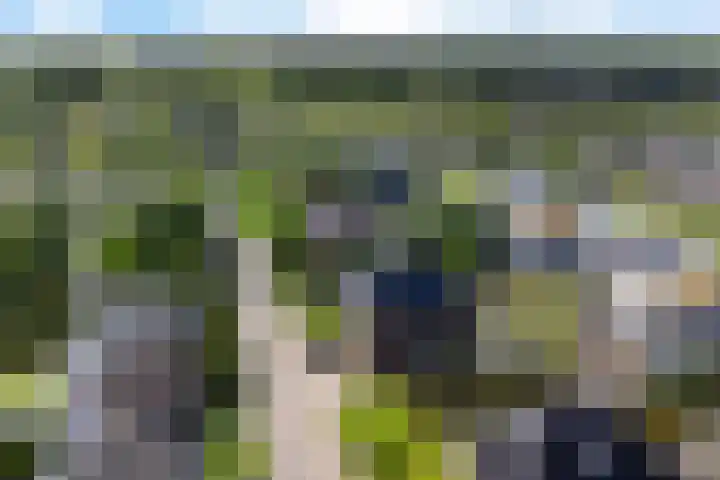 Moleplaat 7 Leeuwarden thumbnail 59