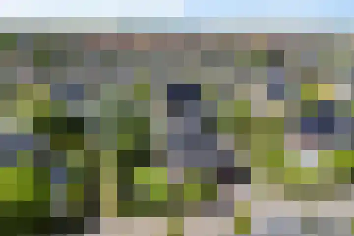 Moleplaat 7 Leeuwarden thumbnail 60