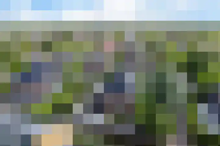 Moleplaat 7 Leeuwarden thumbnail 61