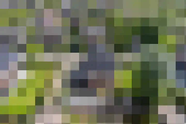 Moleplaat 7 Leeuwarden thumbnail 62