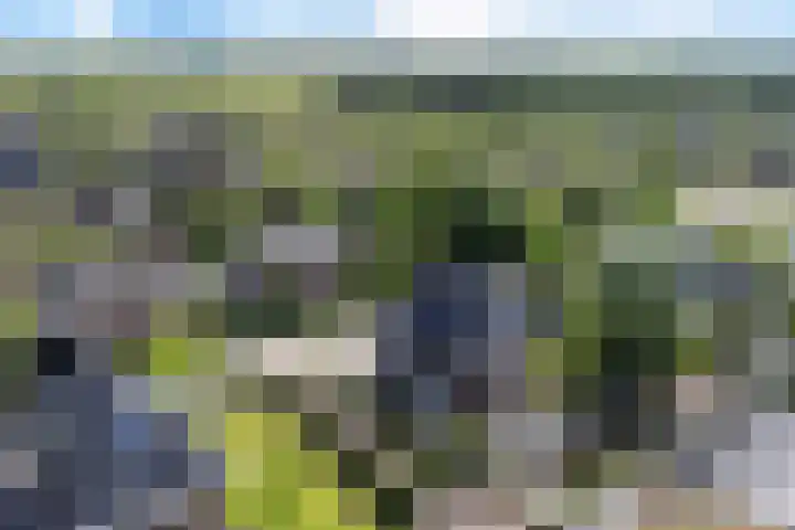 Moleplaat 7 Leeuwarden thumbnail 63