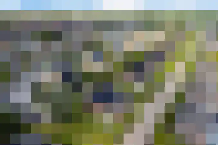Moleplaat 7 Leeuwarden thumbnail 64