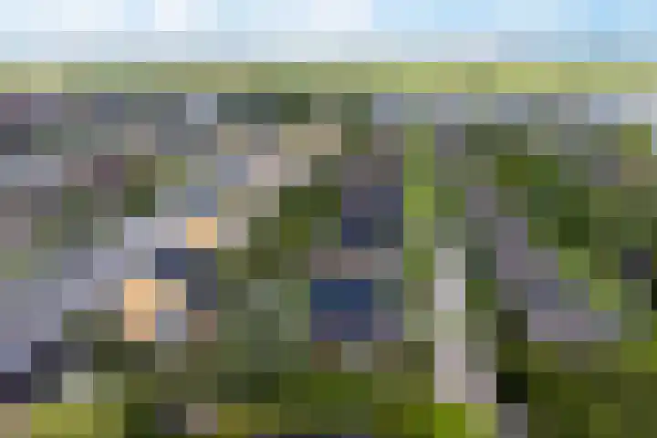 Moleplaat 7 Leeuwarden thumbnail 65