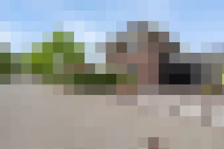 Moleplaat 7 Leeuwarden thumbnail 8