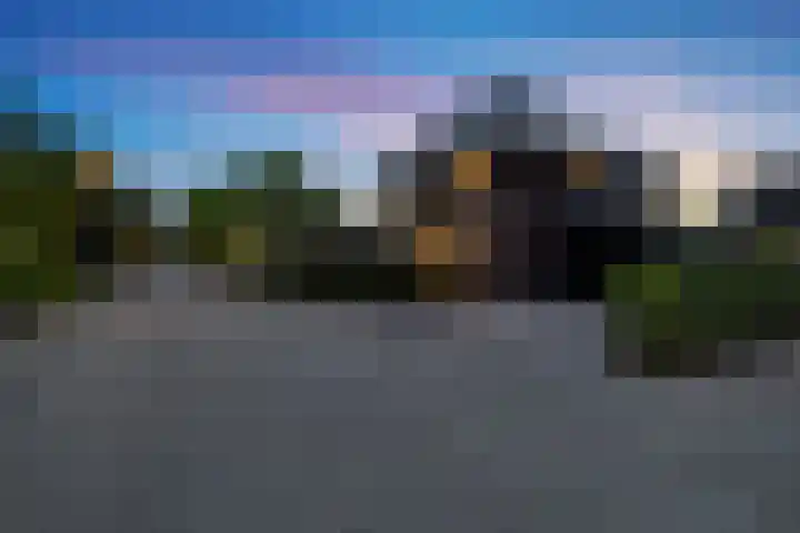 Moleplaat 7 Leeuwarden thumbnail 9