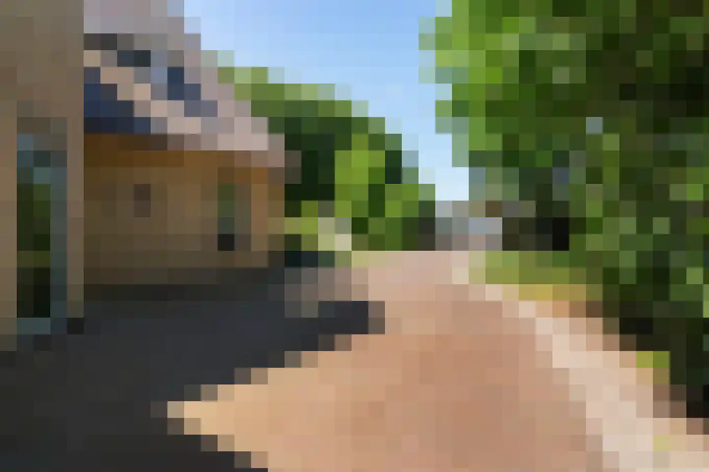 Molepôlle 15 Dronryp thumbnail 10