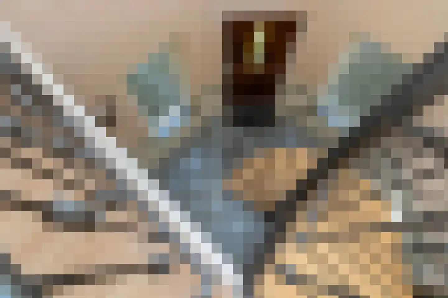 Molepôlle 15 Dronryp thumbnail 14