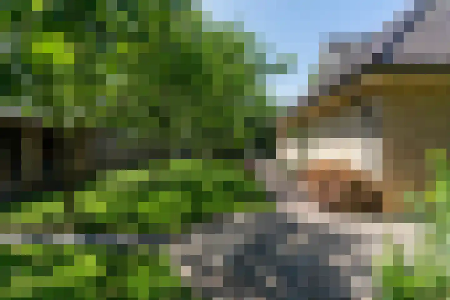 Molepôlle 15 Dronryp thumbnail 31