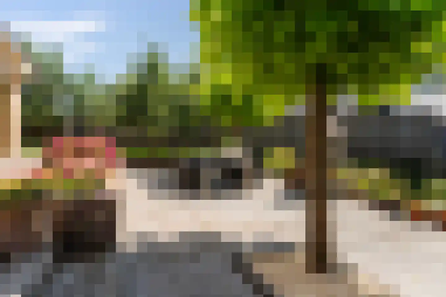 Molepôlle 15 Dronryp thumbnail 32