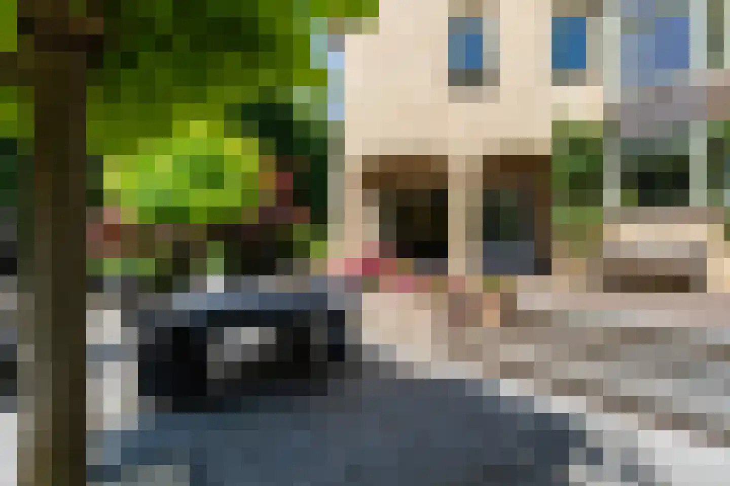 Molepôlle 15 Dronryp thumbnail 33