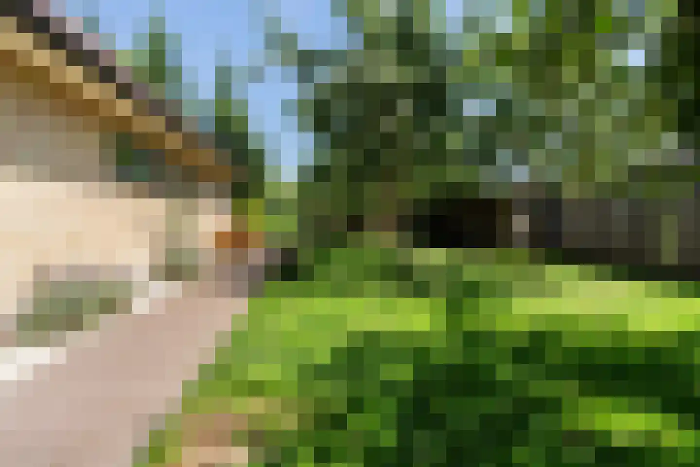Molepôlle 15 Dronryp thumbnail 34