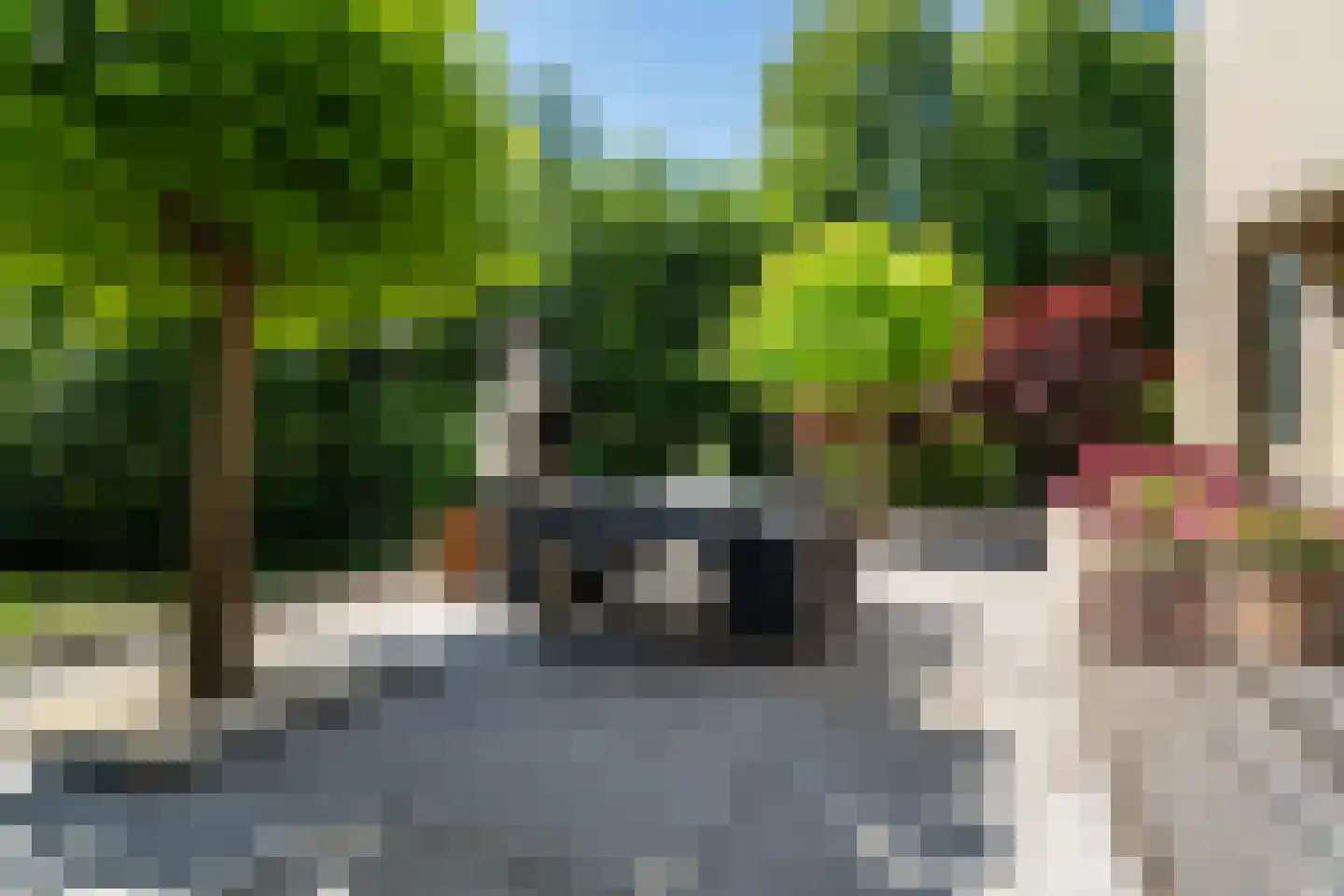 Molepôlle 15 Dronryp thumbnail 35