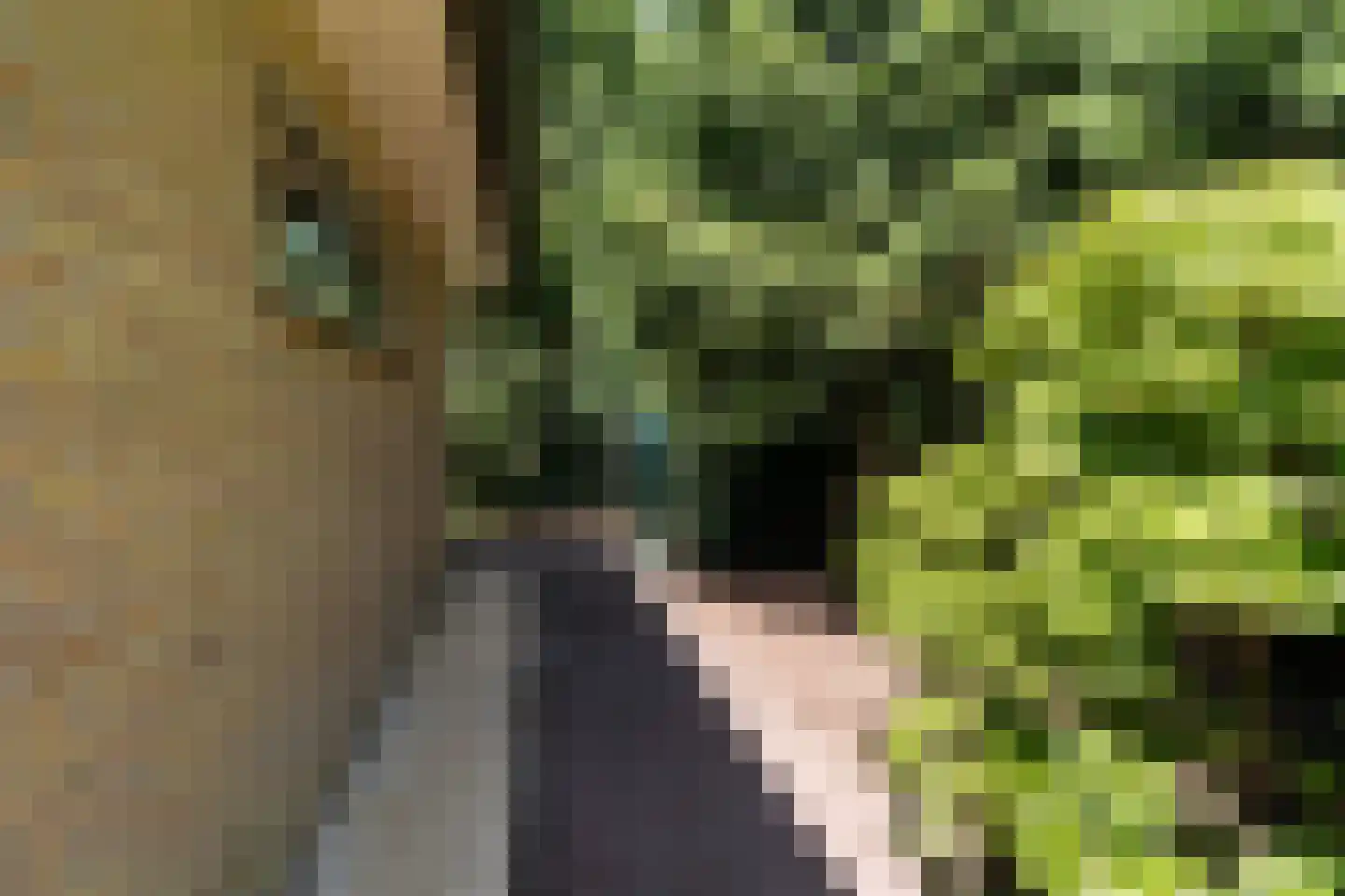 Molepôlle 15 Dronryp thumbnail 37