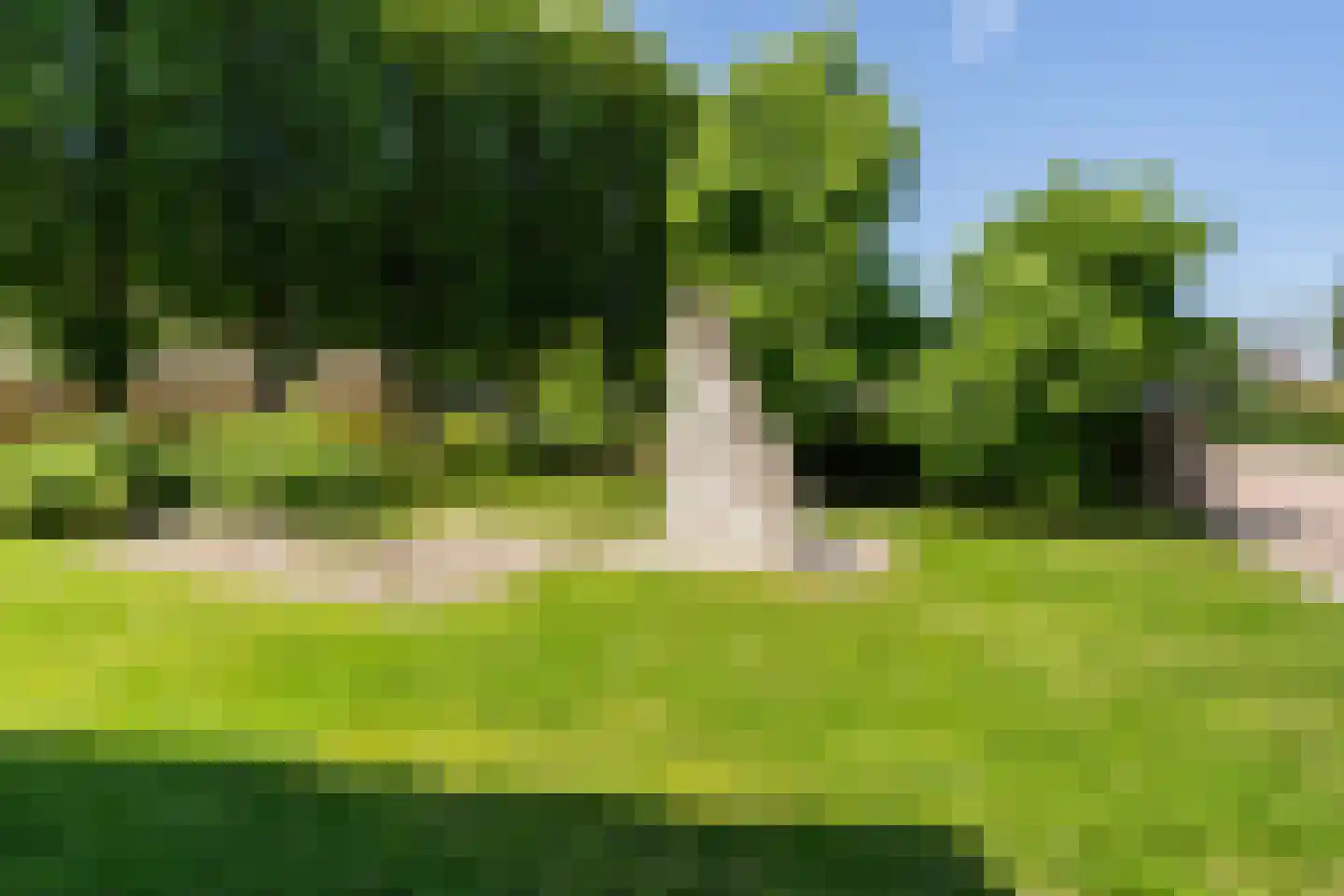 Molepôlle 15 Dronryp thumbnail 38