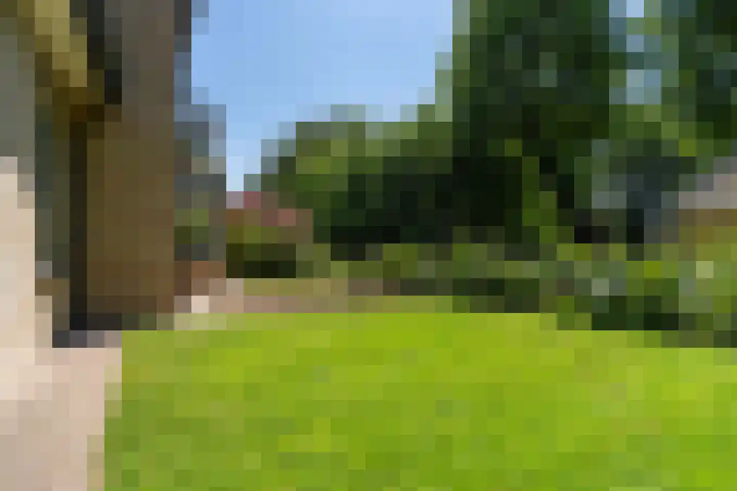 Molepôlle 15 Dronryp thumbnail 39