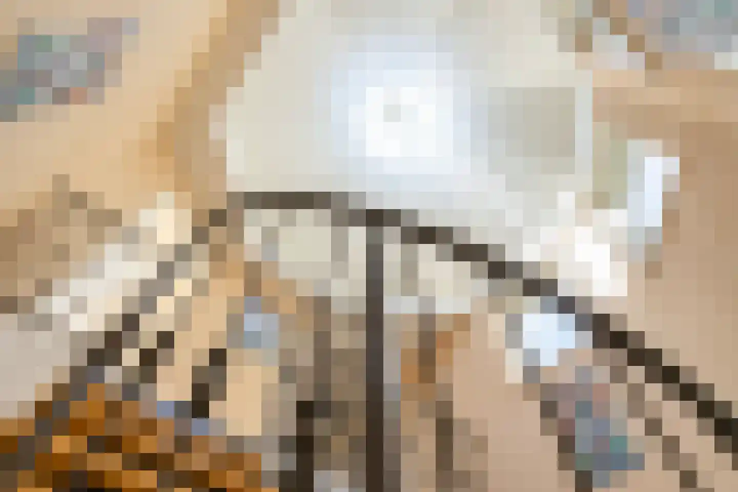 Molepôlle 15 Dronryp thumbnail 42