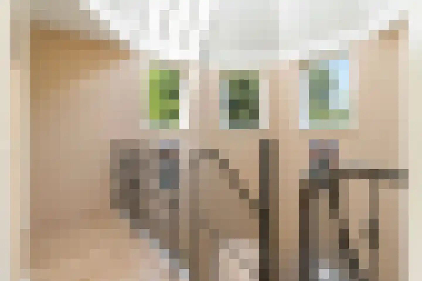 Molepôlle 15 Dronryp thumbnail 43