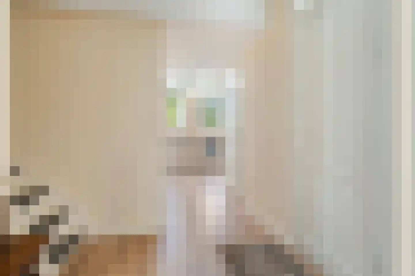 Molepôlle 15 Dronryp thumbnail 44