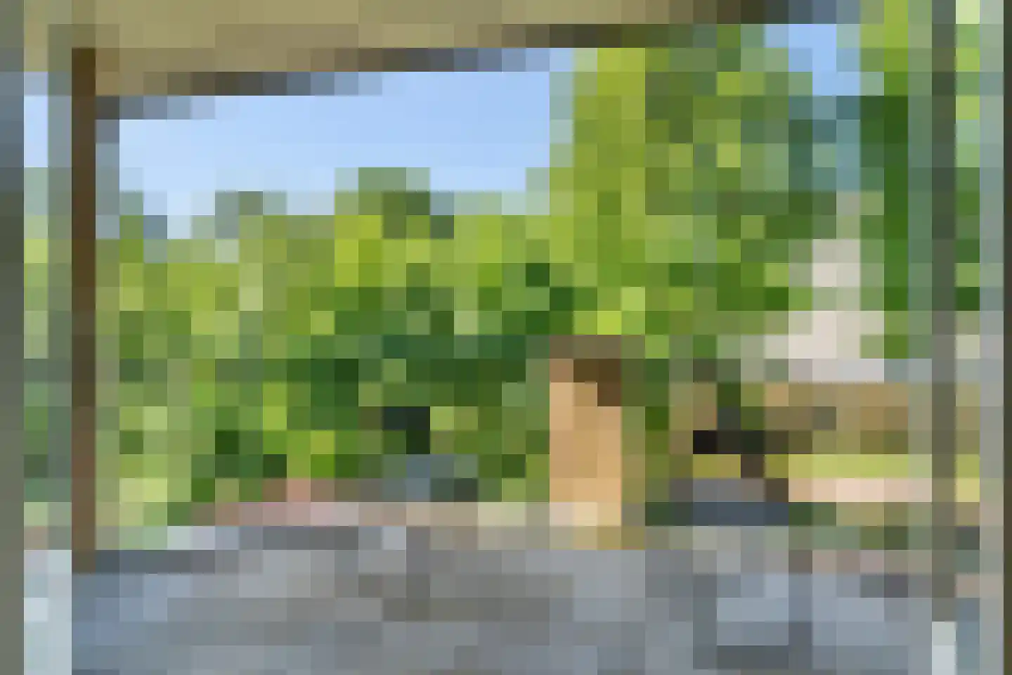 Molepôlle 15 Dronryp thumbnail 58