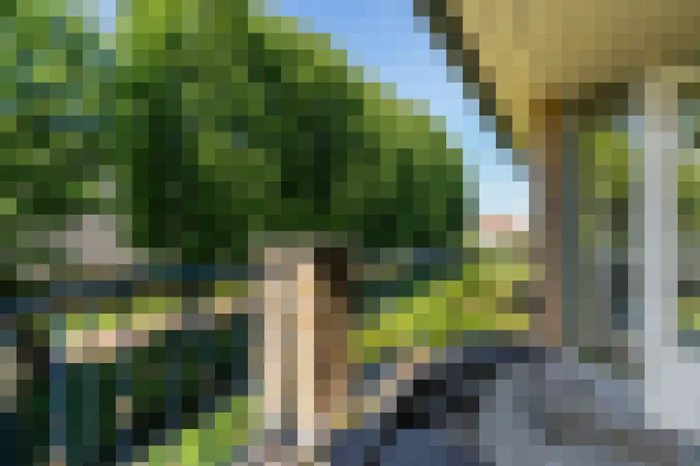 Molepôlle 15 Dronryp thumbnail 59