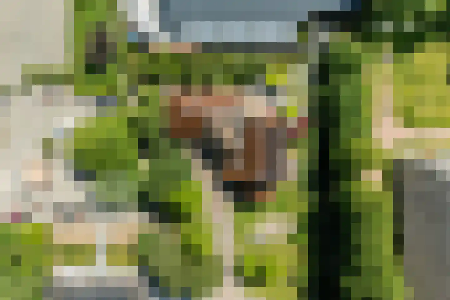Molepôlle 15 Dronryp thumbnail 67