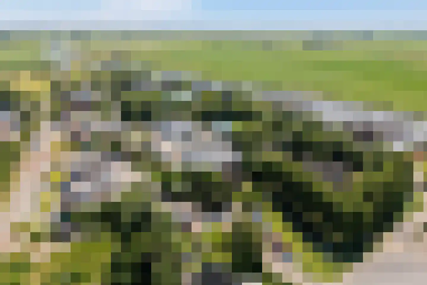 Molepôlle 15 Dronryp thumbnail 69