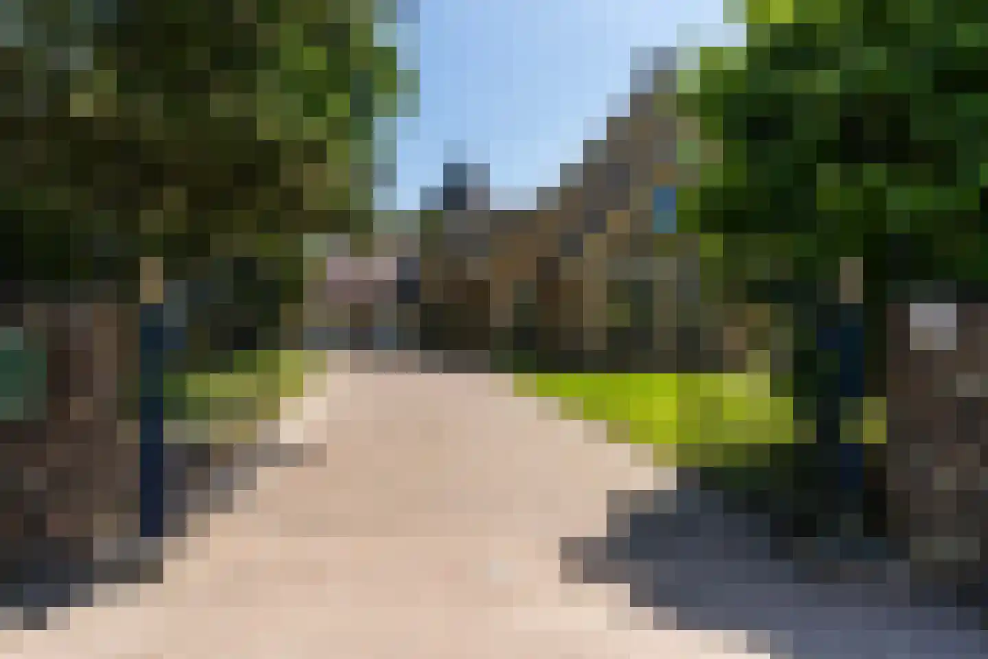 Molepôlle 15 Dronryp thumbnail 7