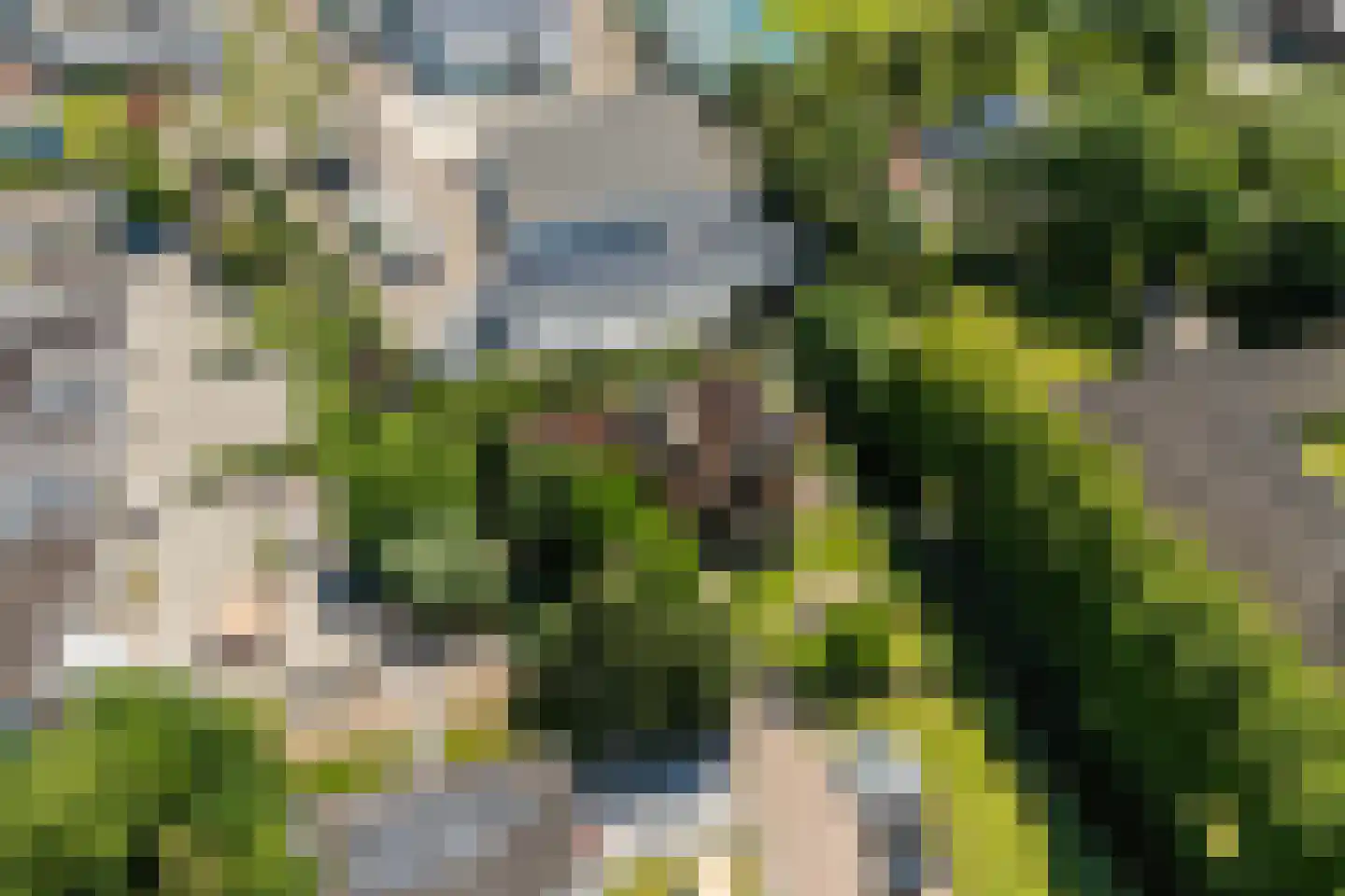 Molepôlle 15 Dronryp thumbnail 70
