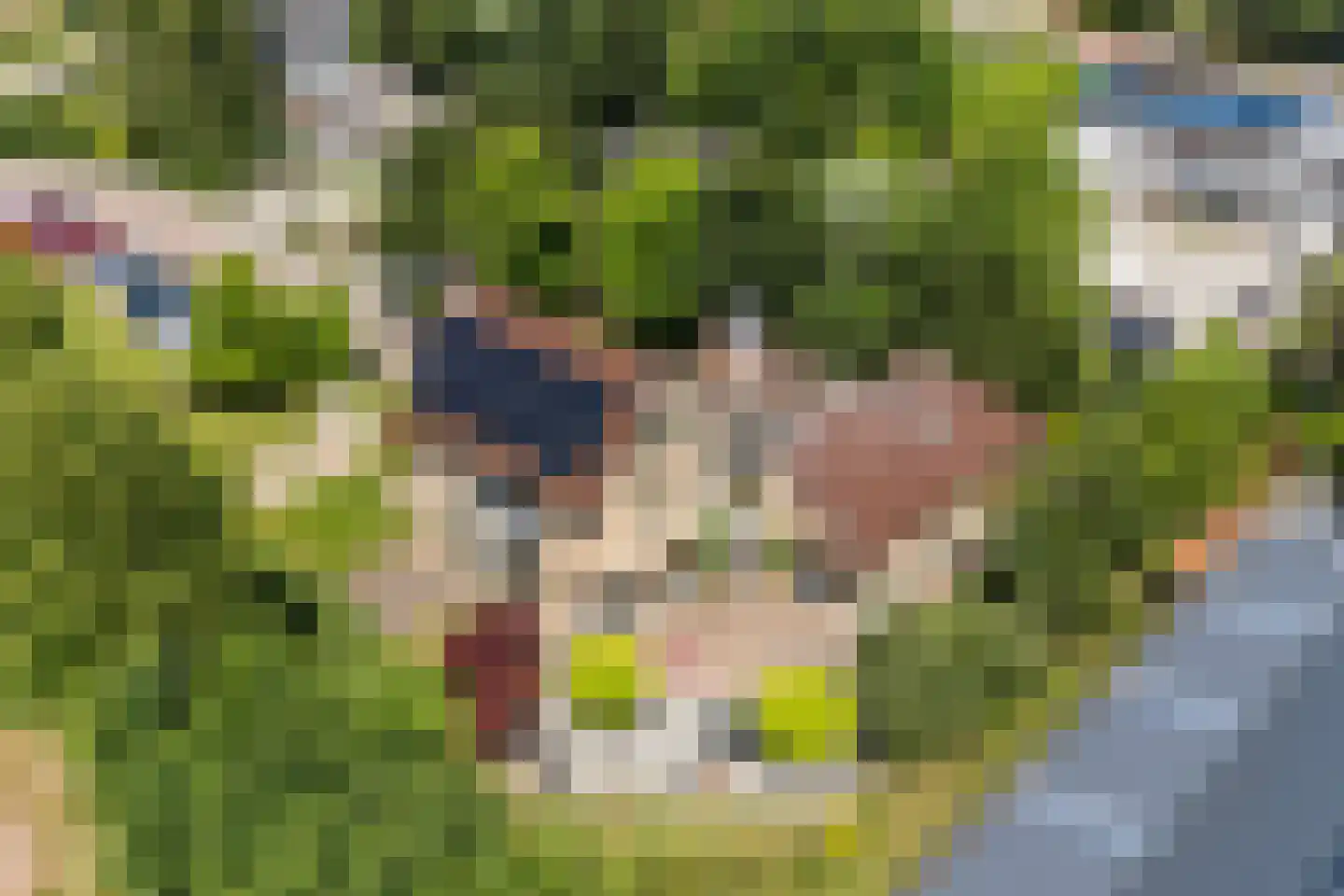 Molepôlle 15 Dronryp thumbnail 71