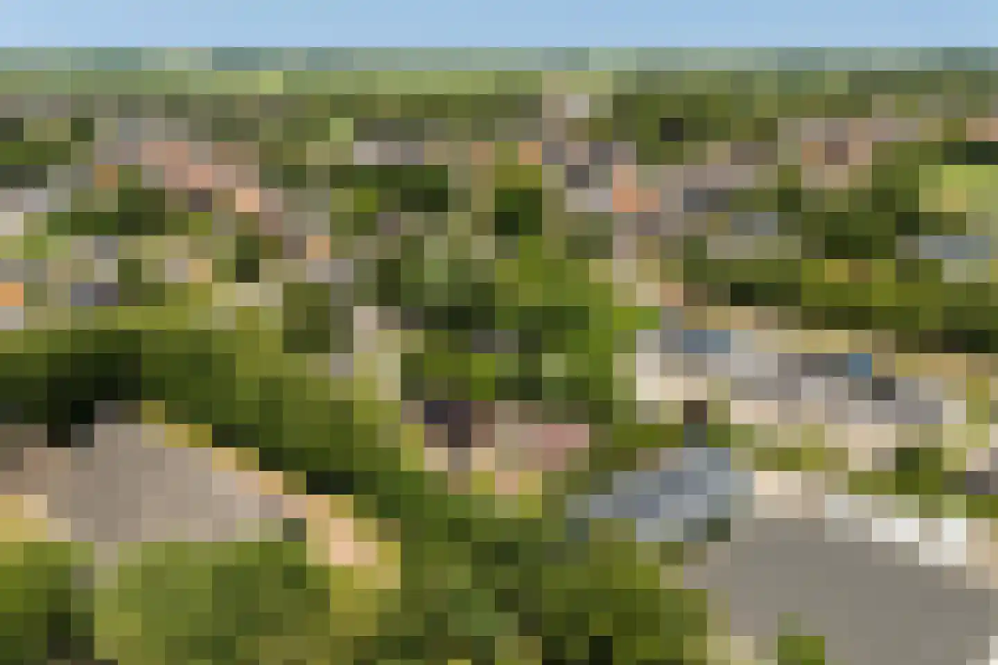Molepôlle 15 Dronryp thumbnail 72