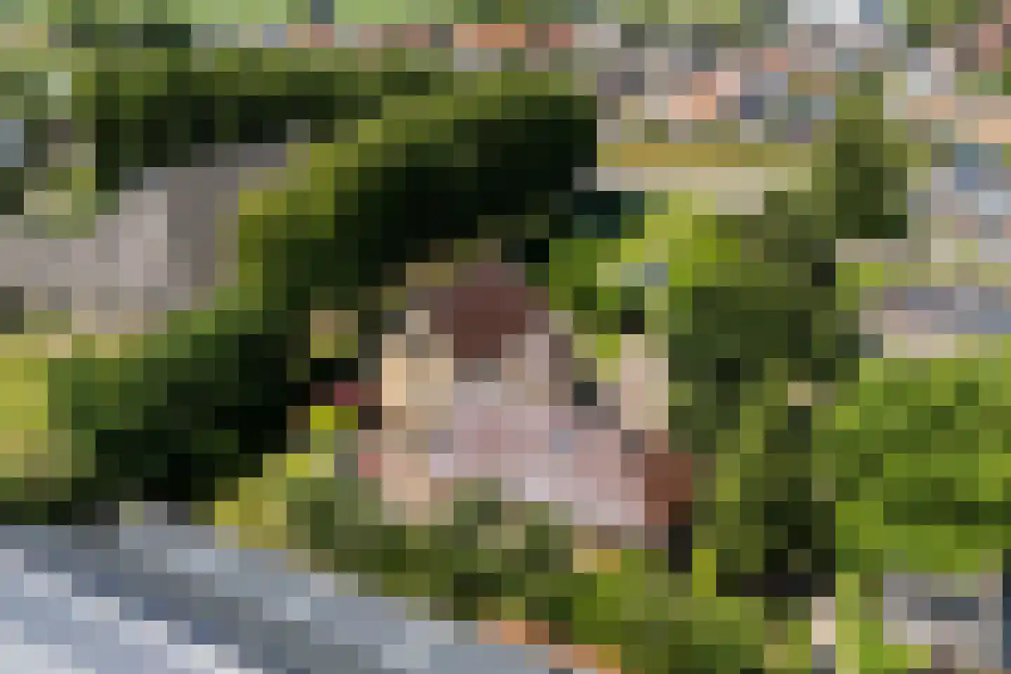 Molepôlle 15 Dronryp thumbnail 73