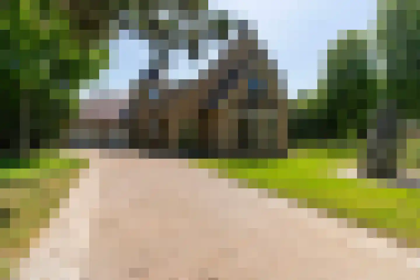 Molepôlle 15 Dronryp thumbnail 8